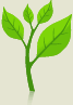 leaf icon