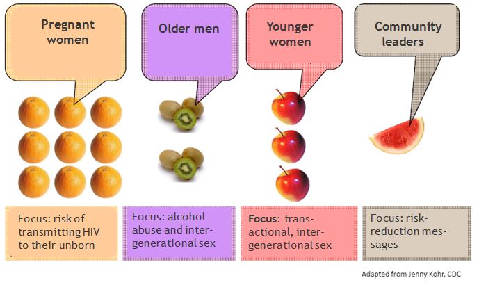 Segmentation 2: HIV / AIDS project